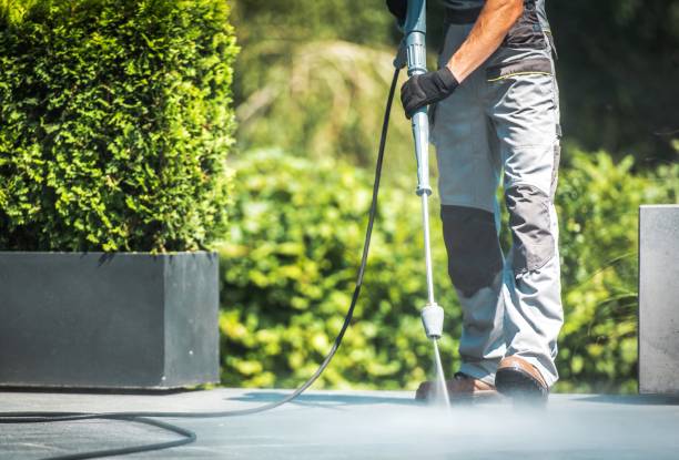 Best Driveway Pressure Washing  in Minneola, FL