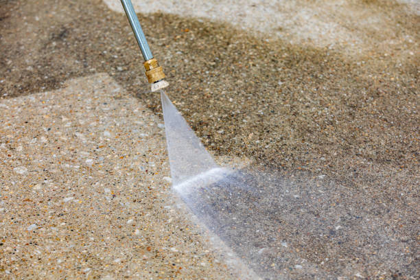 Best Spring Cleaning  in Minneola, FL