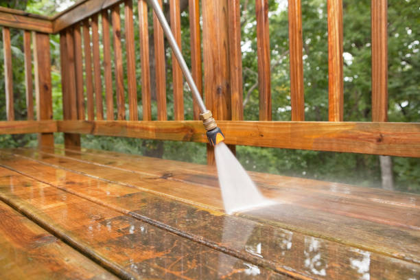 Best Gutter Cleaning  in Minneola, FL
